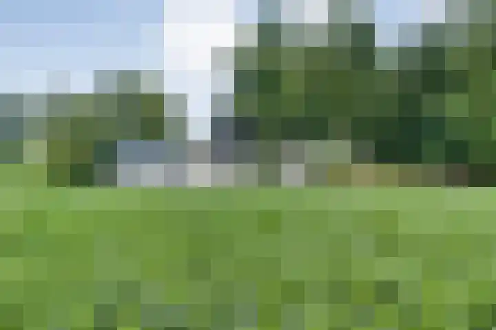 Kikkertsveldweg 1 De Krim thumbnail 40