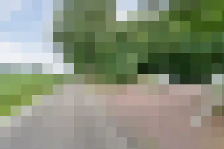 Kikkertsveldweg 1 De Krim thumbnail 41