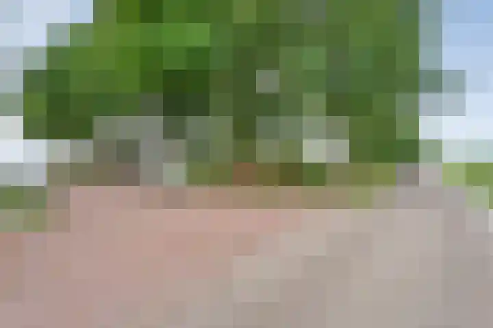 Kikkertsveldweg 1 De Krim thumbnail 42