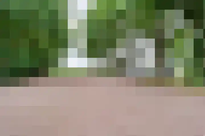 Kikkertsveldweg 1 De Krim thumbnail 43
