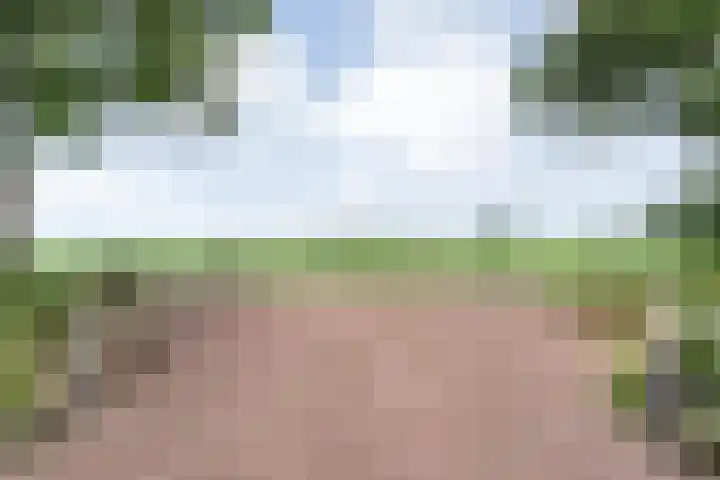 Kikkertsveldweg 1 De Krim thumbnail 45