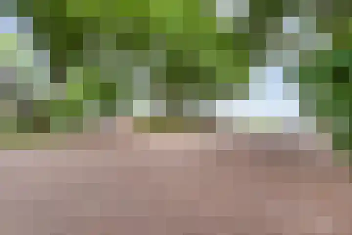 Kikkertsveldweg 1 De Krim thumbnail 47