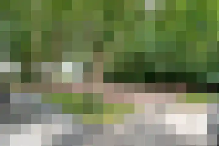 Kikkertsveldweg 1 De Krim thumbnail 50