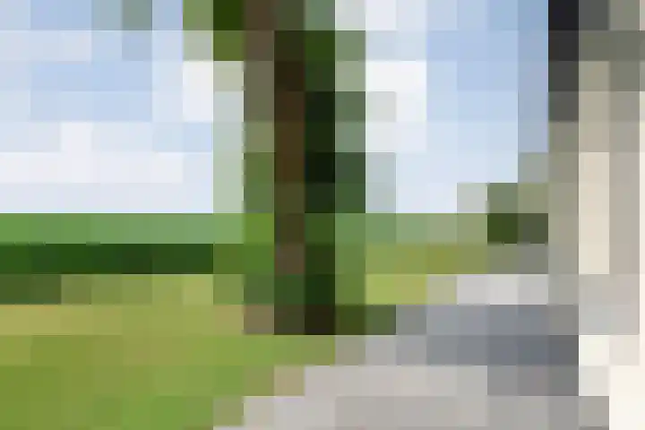 Kikkertsveldweg 1 De Krim thumbnail 51