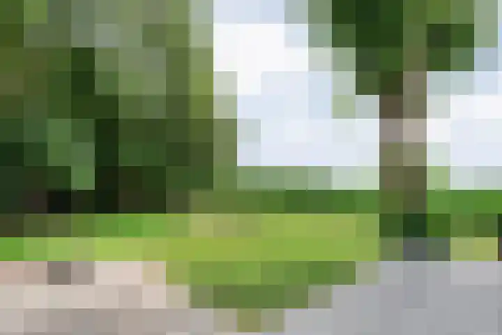 Kikkertsveldweg 1 De Krim thumbnail 52