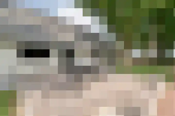 Kikkertsveldweg 1 De Krim thumbnail 53