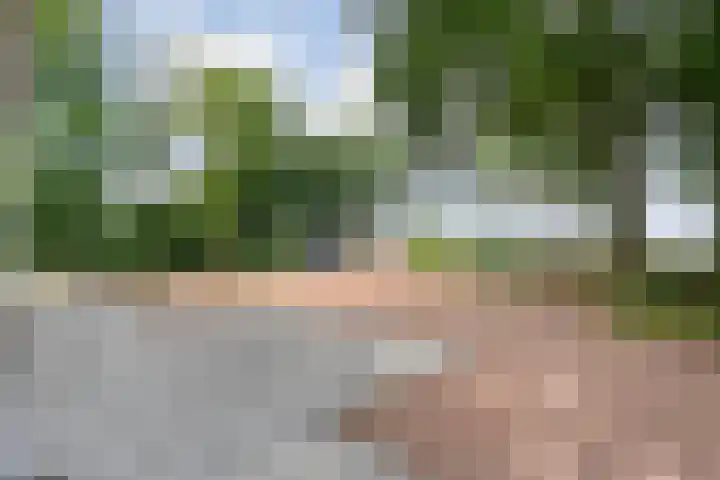 Kikkertsveldweg 1 De Krim thumbnail 54