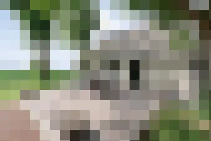 Kikkertsveldweg 1 De Krim thumbnail 56