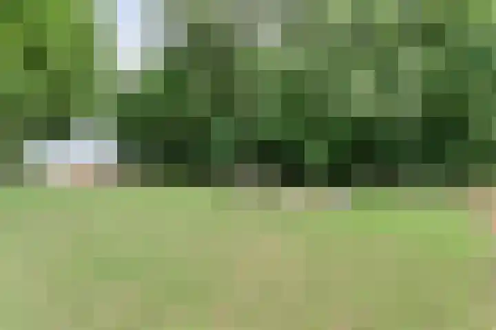 Kikkertsveldweg 1 De Krim thumbnail 57