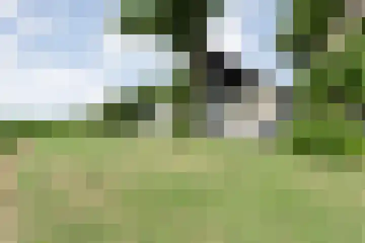 Kikkertsveldweg 1 De Krim thumbnail 58