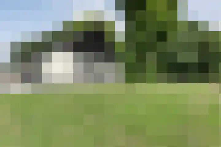 Kikkertsveldweg 1 De Krim thumbnail 59