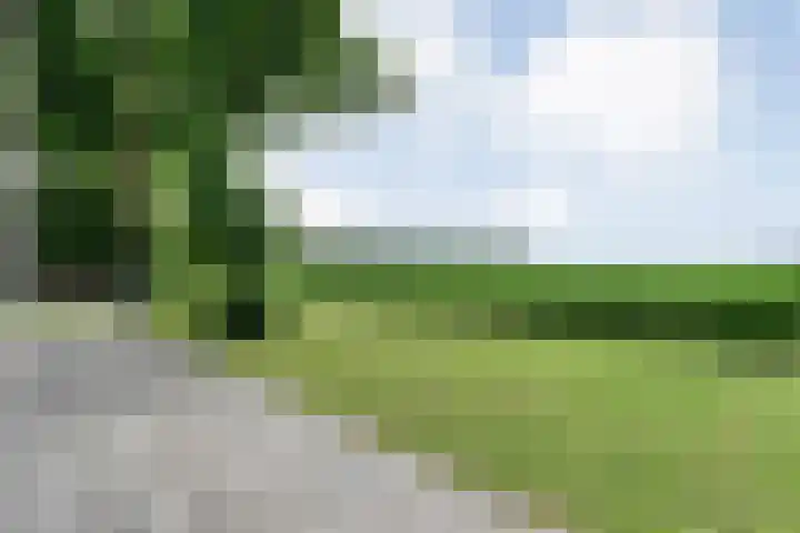 Kikkertsveldweg 1 De Krim thumbnail 63