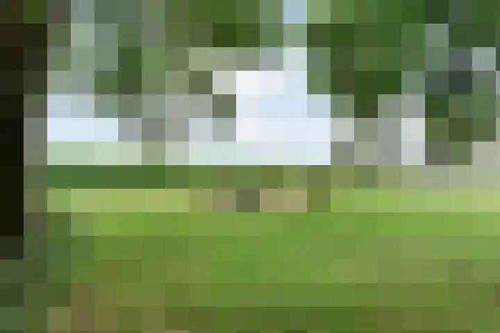 Kikkertsveldweg 1 De Krim thumbnail 65