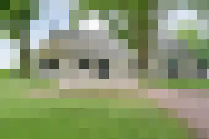 Kikkertsveldweg 1 De Krim thumbnail 66