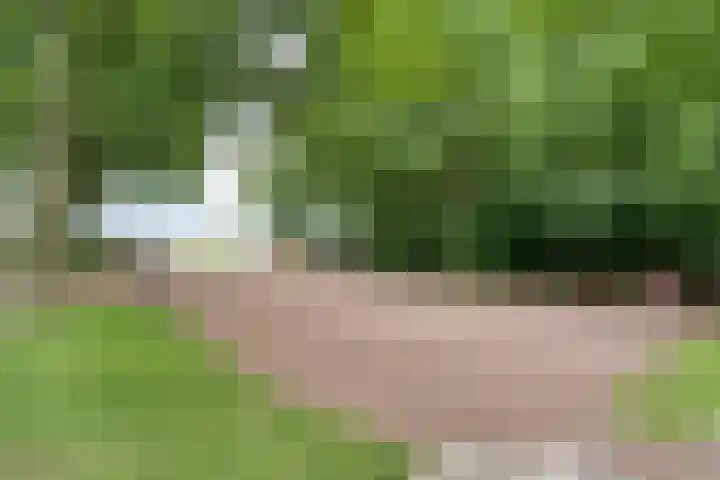 Kikkertsveldweg 1 De Krim thumbnail 67