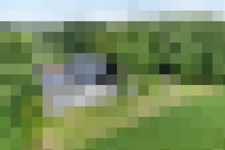 Kikkertsveldweg 1 De Krim thumbnail 73