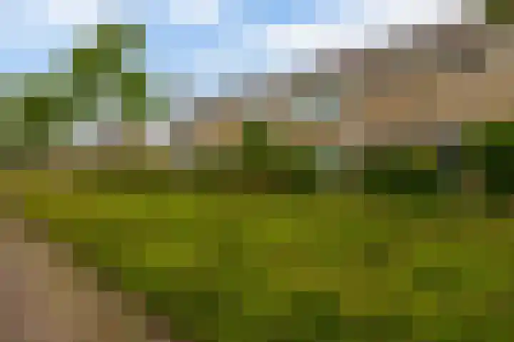 Kikkerveen 130 Spijkenisse thumbnail 10