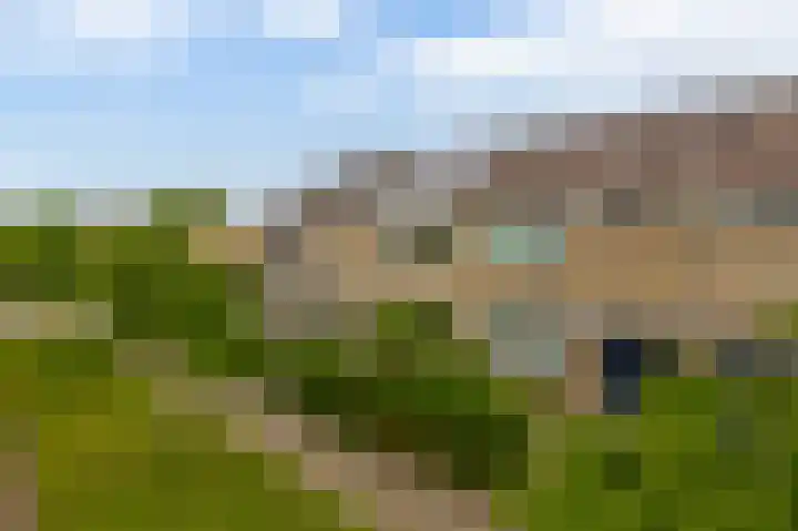 Kikkerveen 130 Spijkenisse thumbnail 11