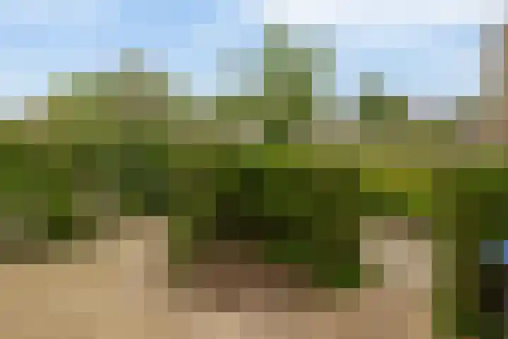 Kikkerveen 130 Spijkenisse thumbnail 13
