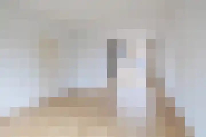 Kikkerveen 130 Spijkenisse thumbnail 18