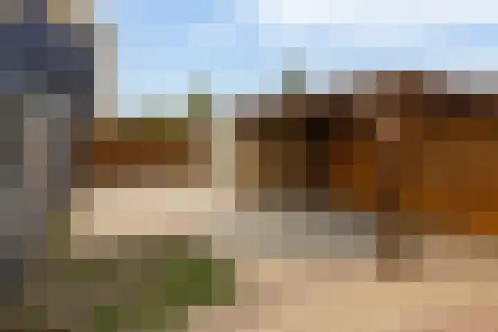Kikkerveen 130 Spijkenisse thumbnail 25