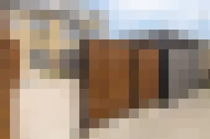 Kikkerveen 130 Spijkenisse thumbnail 29