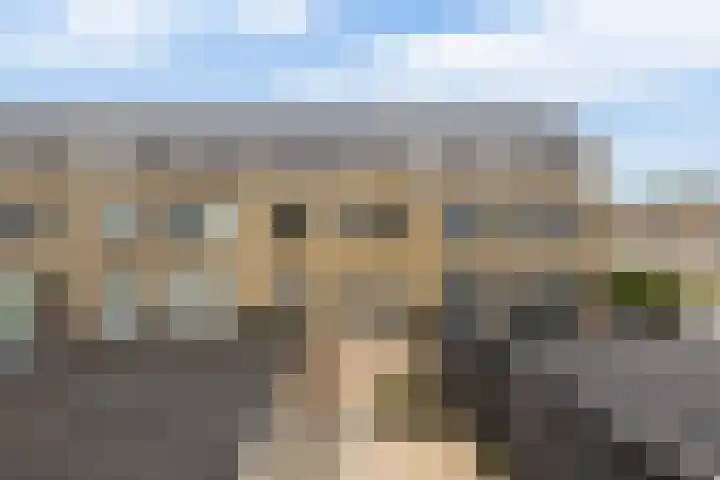 Kikkerveen 130 Spijkenisse thumbnail 30