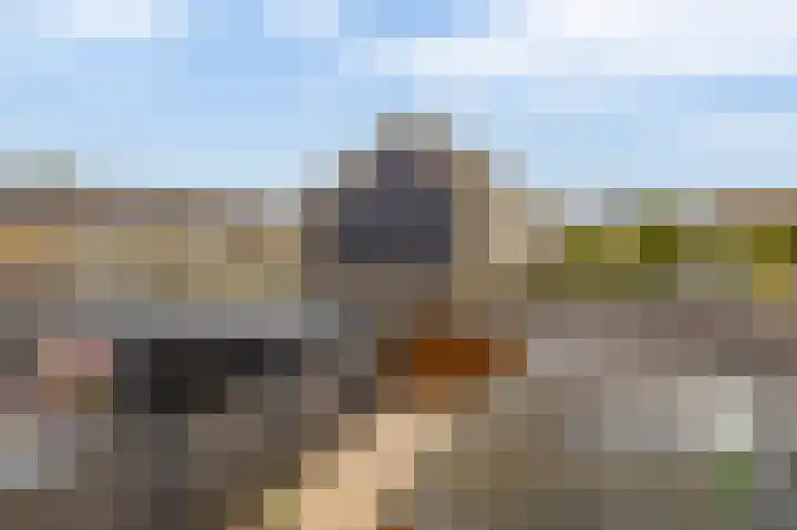 Kikkerveen 130 Spijkenisse thumbnail 37
