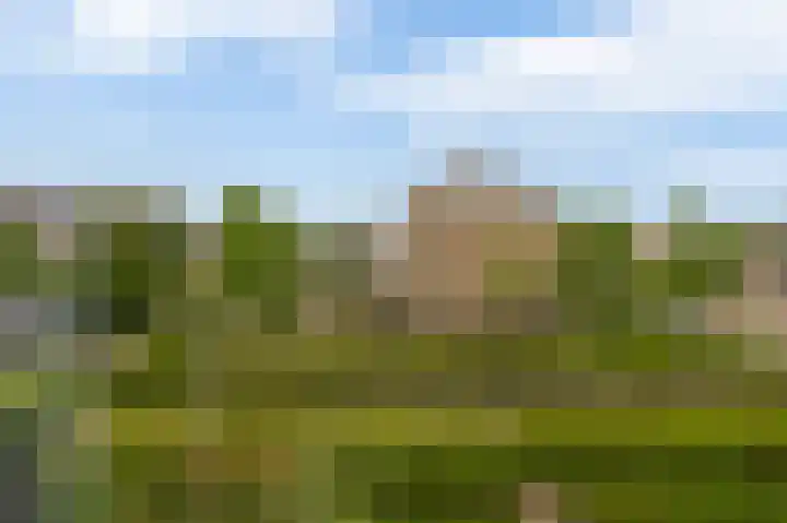 Kikkerveen 130 Spijkenisse thumbnail 40