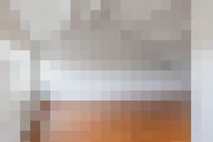 Kikkerveen 130 Spijkenisse thumbnail 47