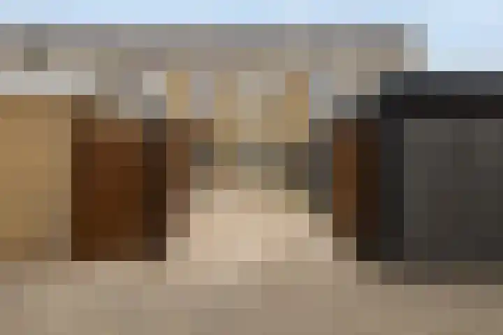 Kikkerveen 130 Spijkenisse thumbnail 6