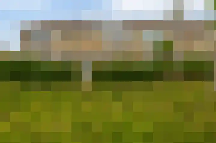Kikkerveen 130 Spijkenisse thumbnail 8