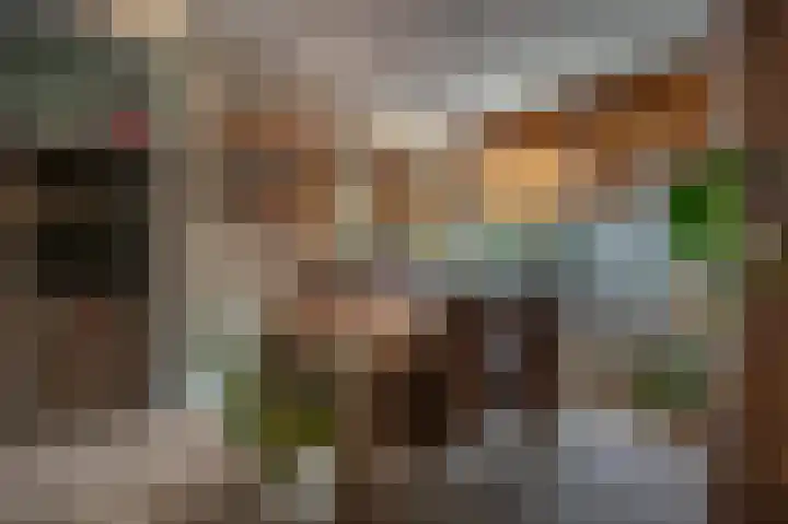 Kikkerveen 152 Spijkenisse thumbnail 13
