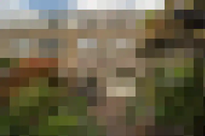 Kikkerveen 152 Spijkenisse thumbnail 19