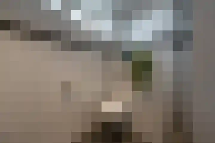 Kikkerveen 152 Spijkenisse thumbnail 31