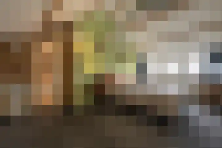 Kikkerveen 152 Spijkenisse thumbnail 33