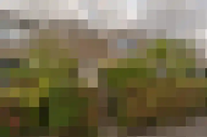 Kikkerveen 152 Spijkenisse thumbnail 35