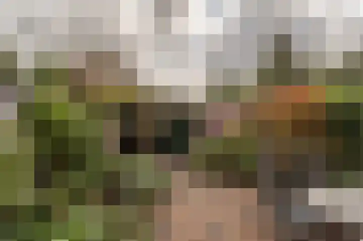 Kikkerveen 152 Spijkenisse thumbnail 5
