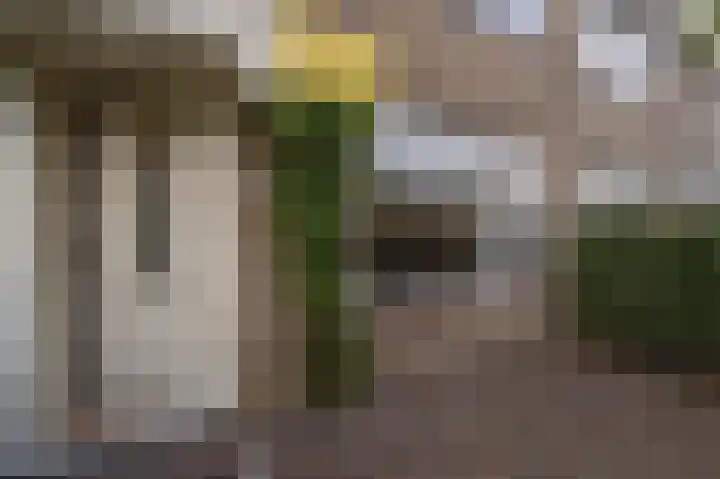 Kikkerveen 152 Spijkenisse thumbnail 7