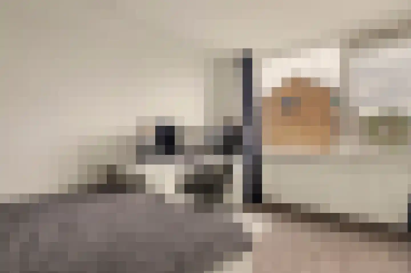 Kikkerveen 209 Spijkenisse thumbnail 15