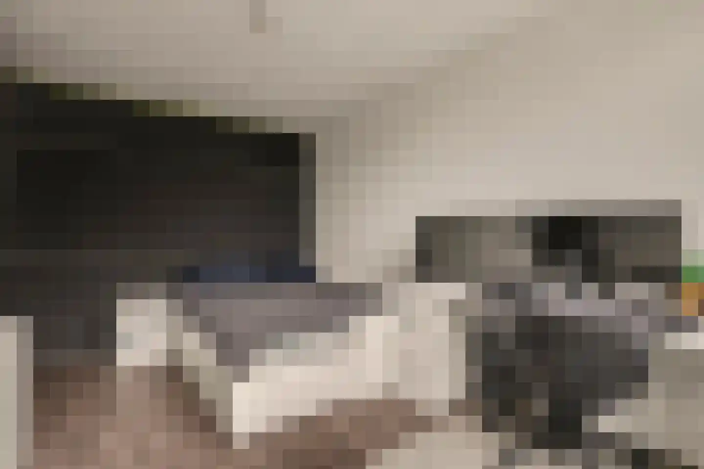 Kikkerveen 209 Spijkenisse thumbnail 16