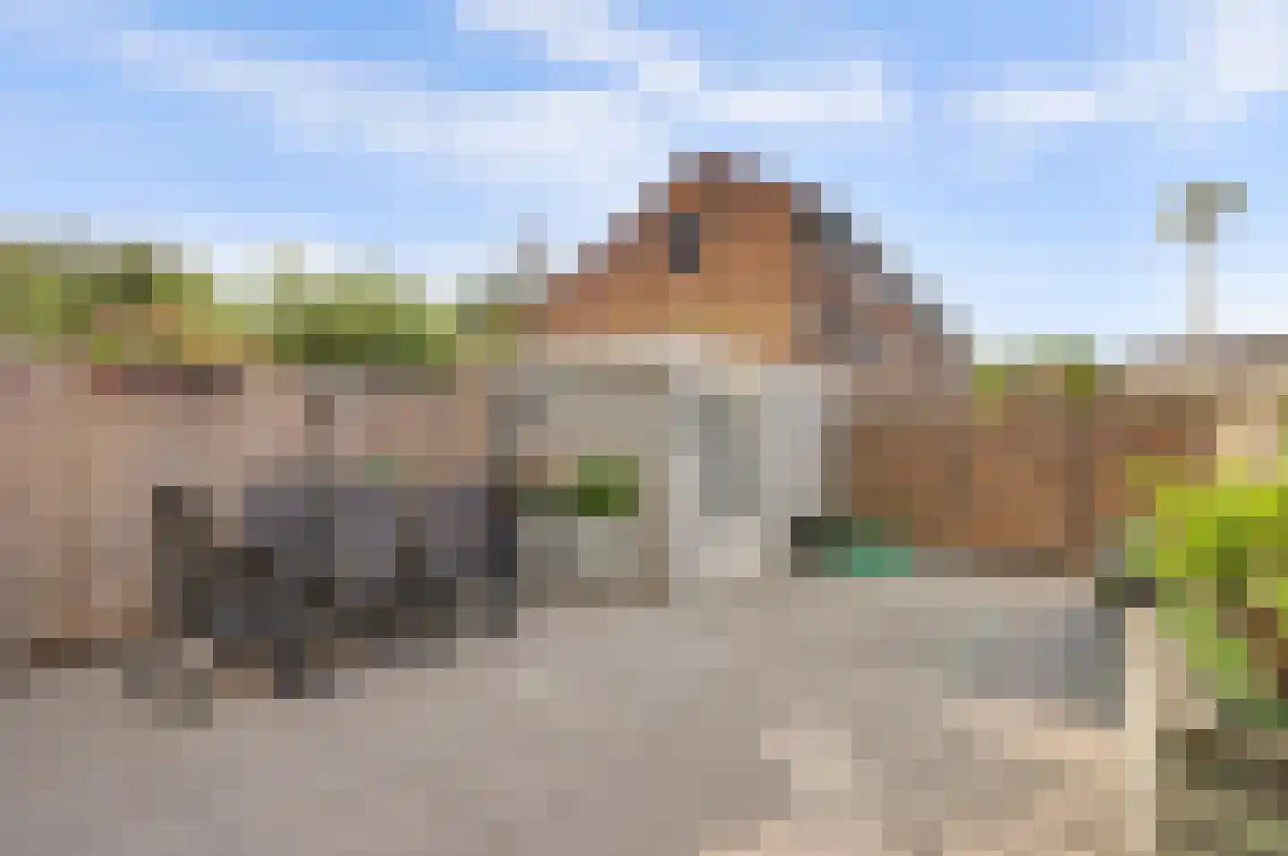 Kikkerveen 209 Spijkenisse thumbnail 26