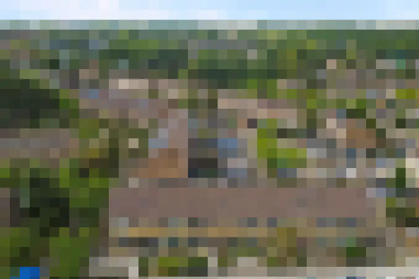 Kikkerveen 209 Spijkenisse thumbnail 34