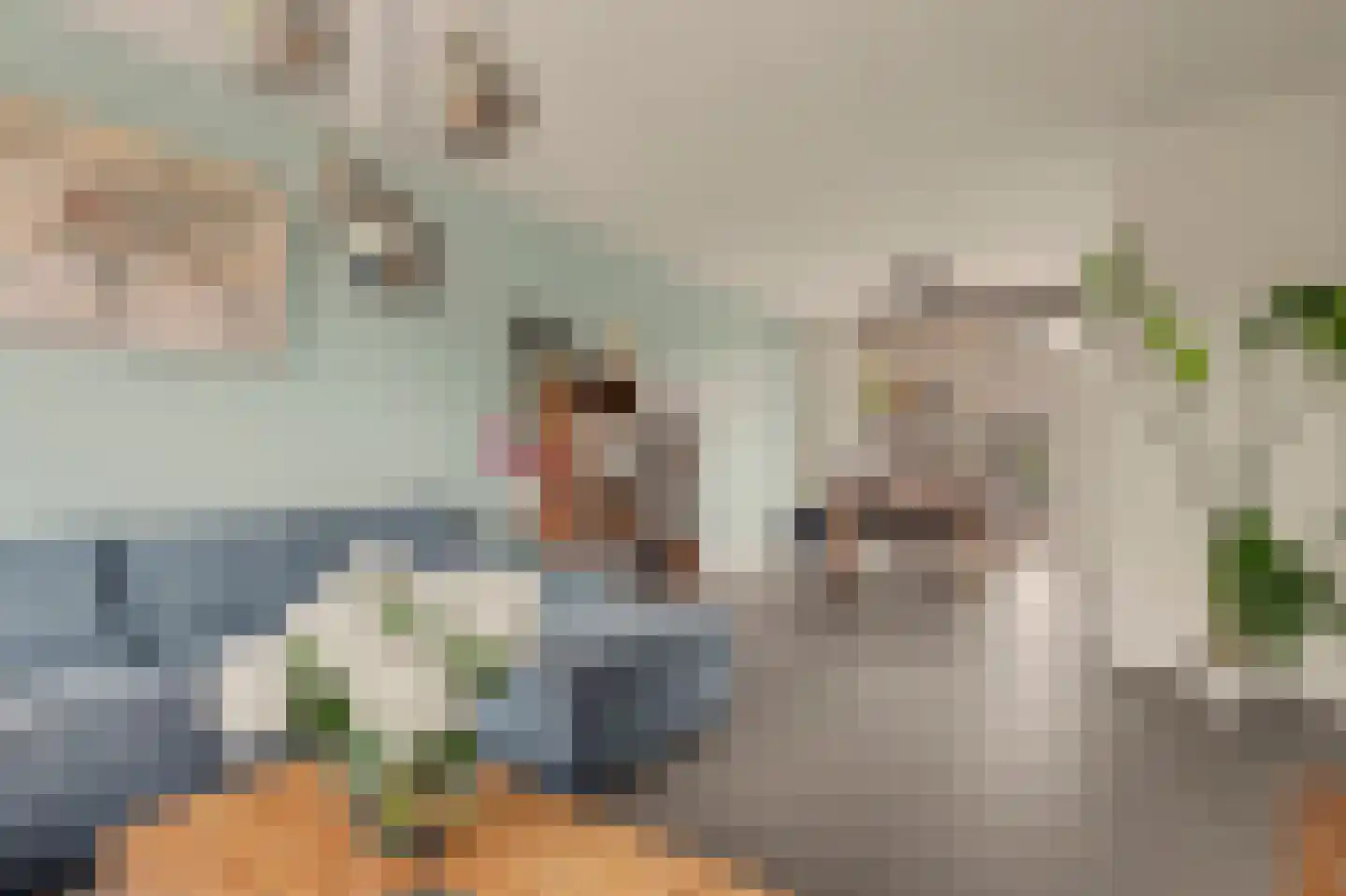 Kikkerveen 209 Spijkenisse thumbnail 6