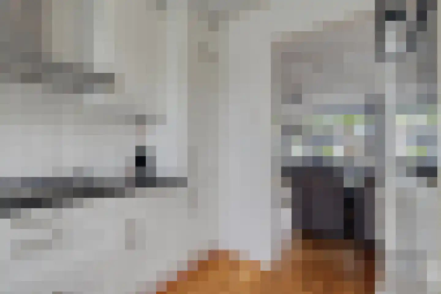 Kikkerveen 215 Spijkenisse thumbnail 11