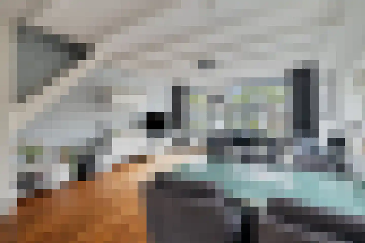 Kikkerveen 215 Spijkenisse thumbnail 13