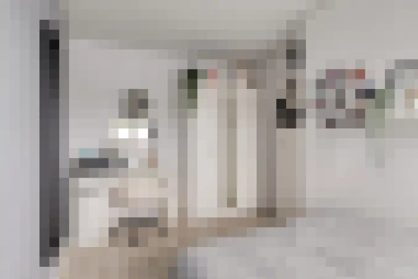 Kikkerveen 215 Spijkenisse thumbnail 17