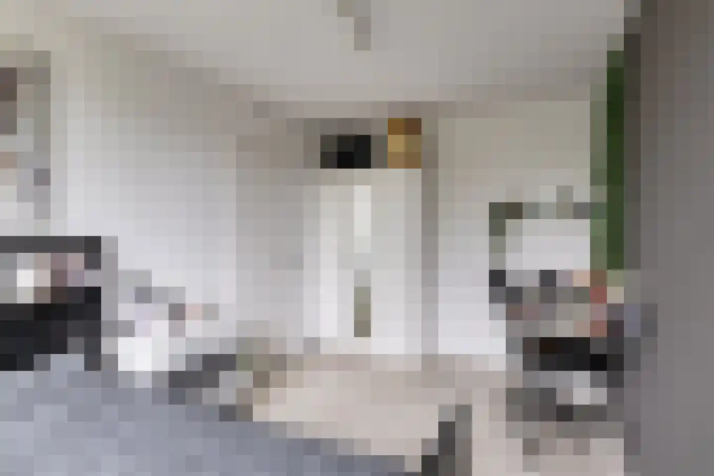 Kikkerveen 215 Spijkenisse thumbnail 21