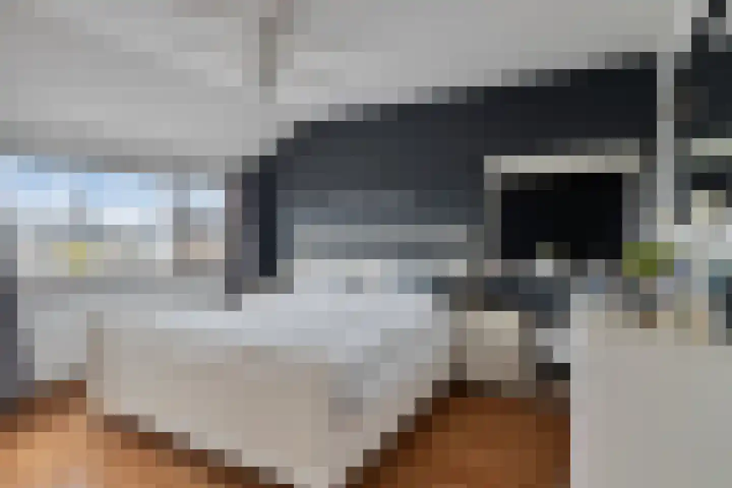 Kikkerveen 215 Spijkenisse thumbnail 27