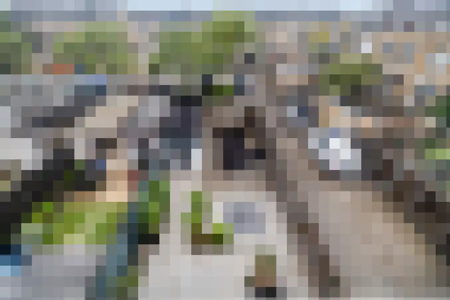 Kikkerveen 215 Spijkenisse thumbnail 29